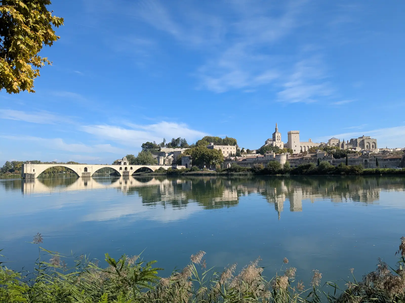 Vue panoramique d'Avignon depuis la Barthelasse